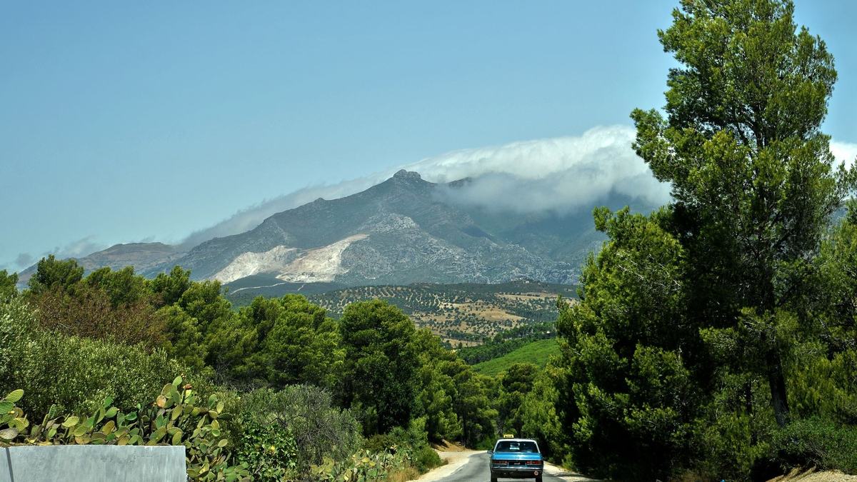 A road winding through the green Rif Mountains