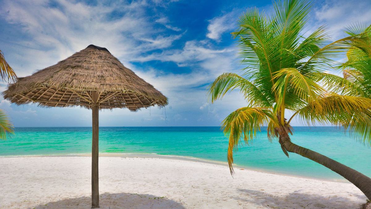Palm trees leaning over turquoise water on a Koh Rong beach