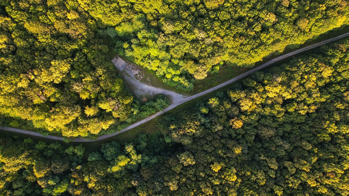 A road winding through green forest in central Croatia