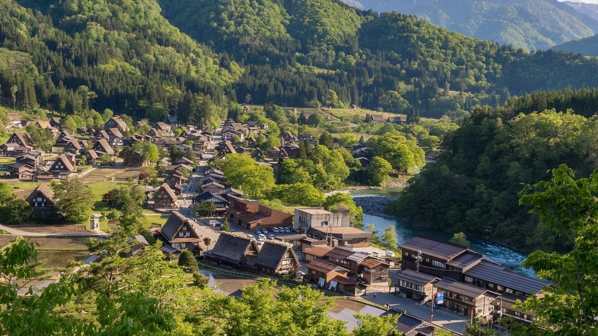 Green summer fields and thatched houses in the Shirakawa-go valley