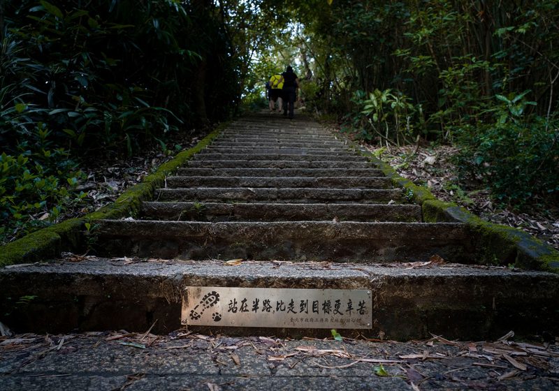 Stone steps through the forest at Yamadera