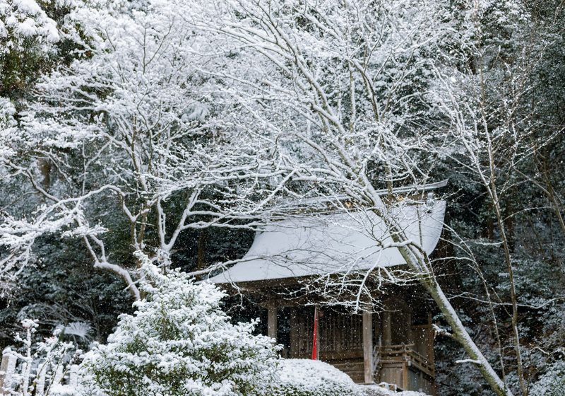Yamadera temple halls under snow
