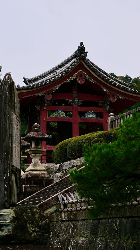 Yamadera temple on a cliff above the forest